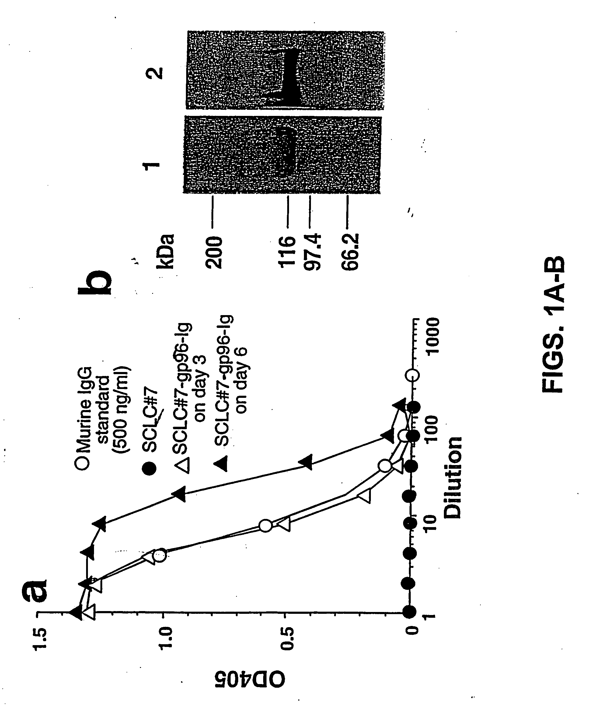 Recombinant cancer cell secreting modified heat shock protein-antigenic peptide complex