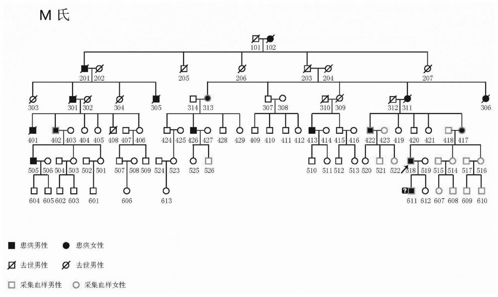 POAG gene detection kit suitable for prenatal noninvasive diagnosis and detection method thereof