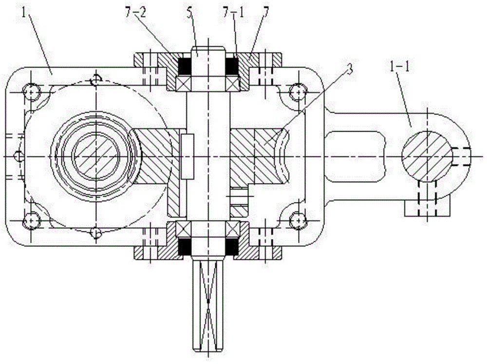 Worm gear and worm reducer transmission device