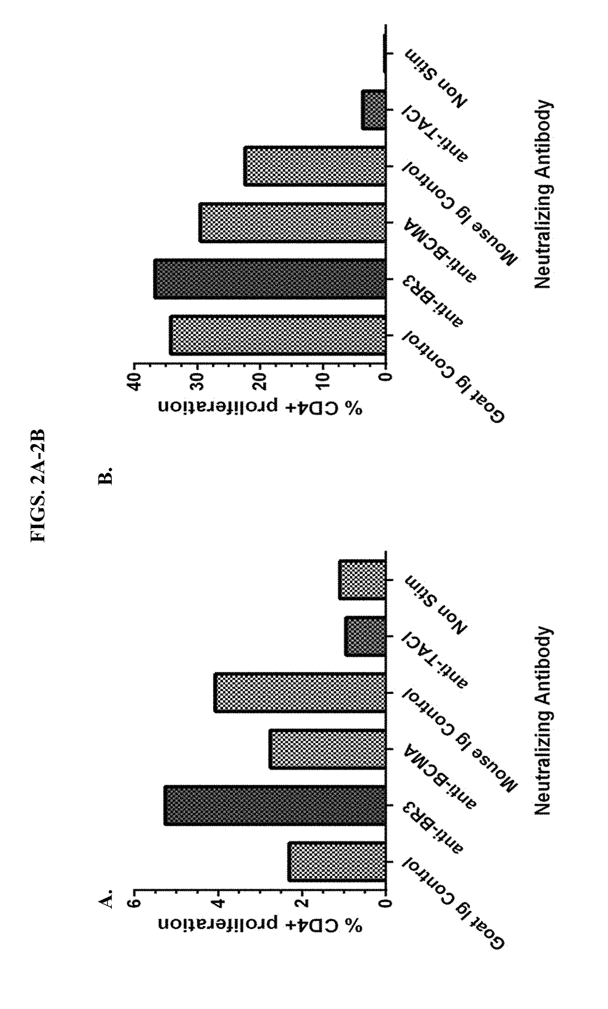 Methods of t cell expansion and activation