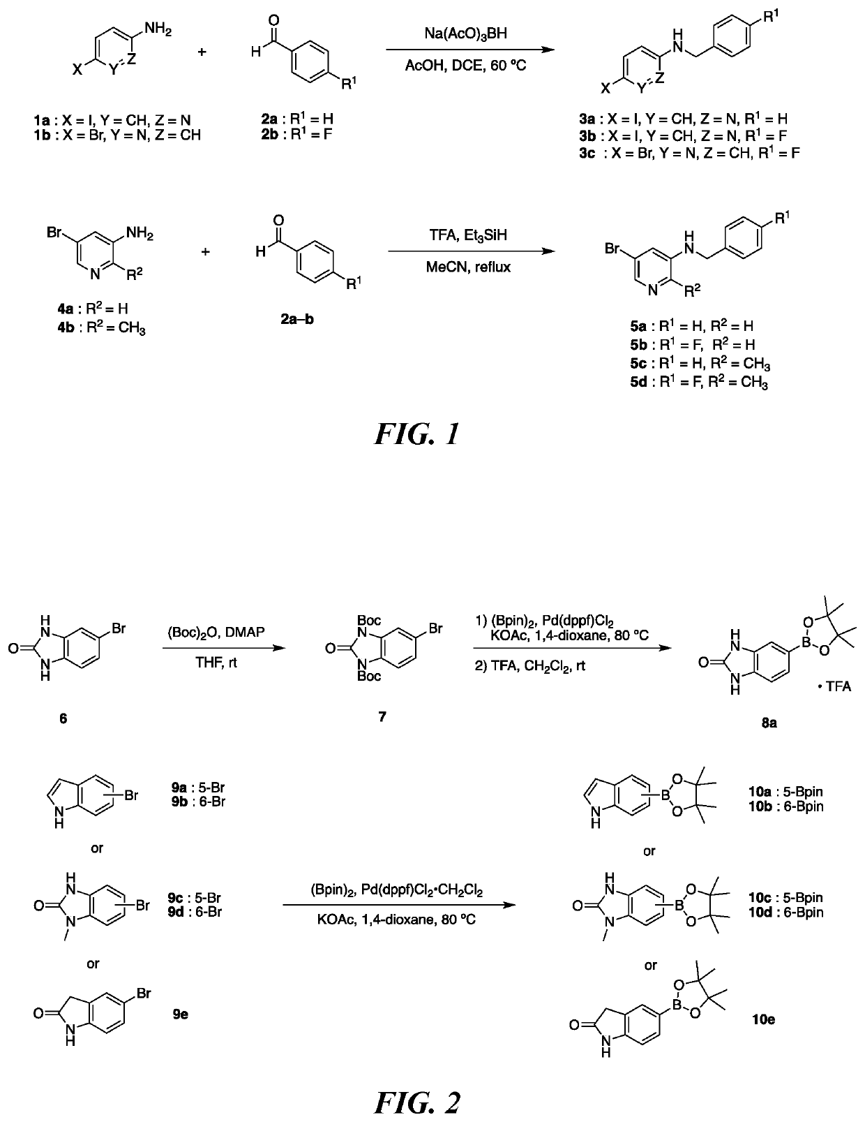 Kinase inhibitor compounds and compositions and methods of use