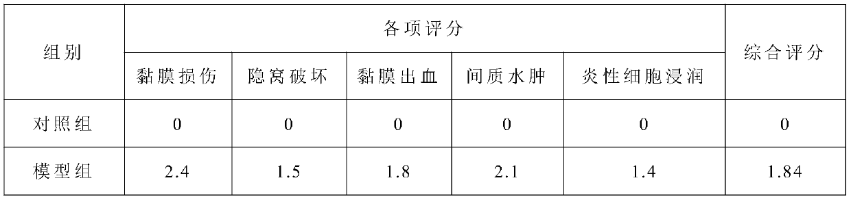 Application of polaprezinc in preparation of drug for treating hepatogenic gastrointestinal mucous membrane injury