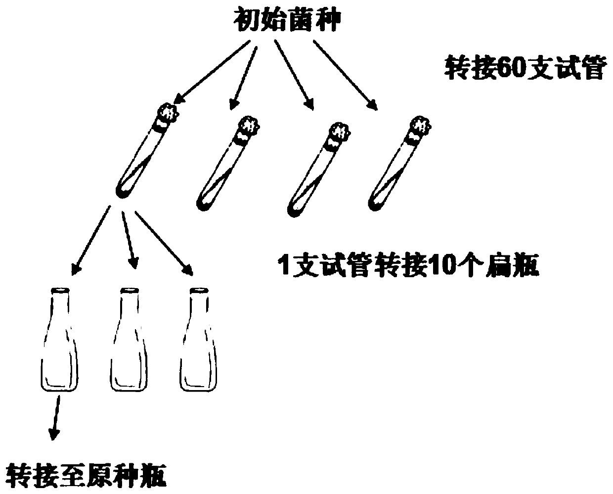 preservation-method-and-activation-method-of-edible-mushroom-production