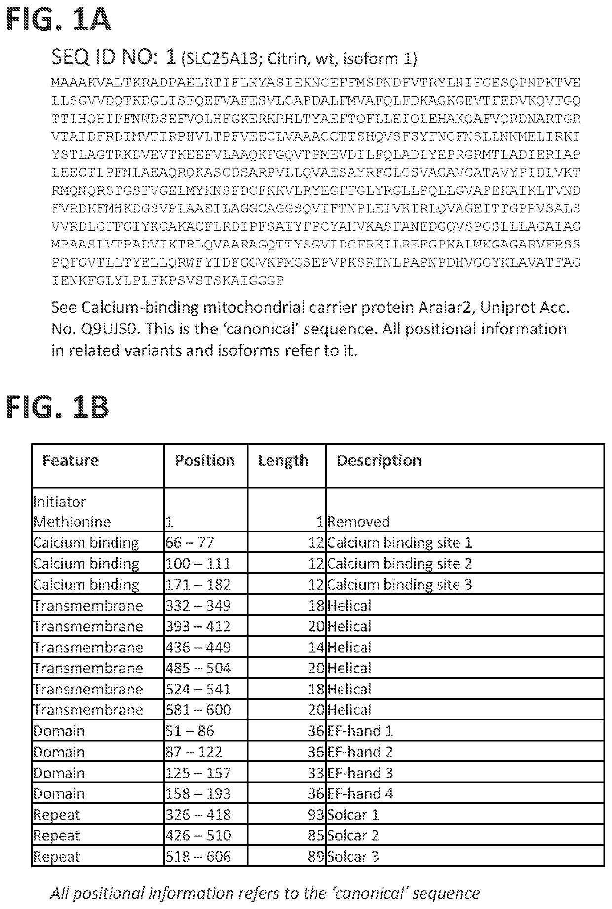 Polynucleotides encoding citrin for the treatment of Citrullinemia type 2