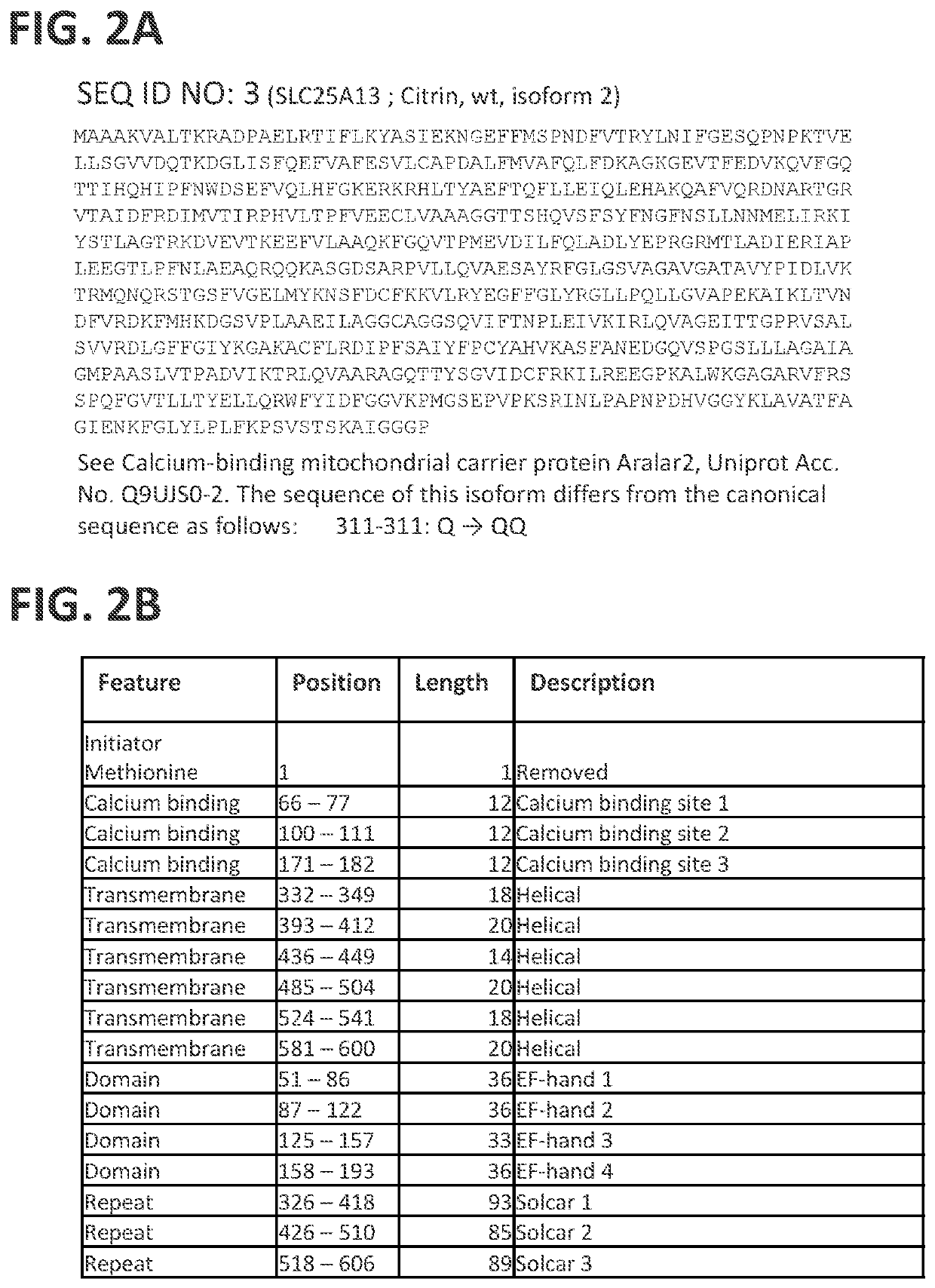 Polynucleotides encoding citrin for the treatment of Citrullinemia type 2
