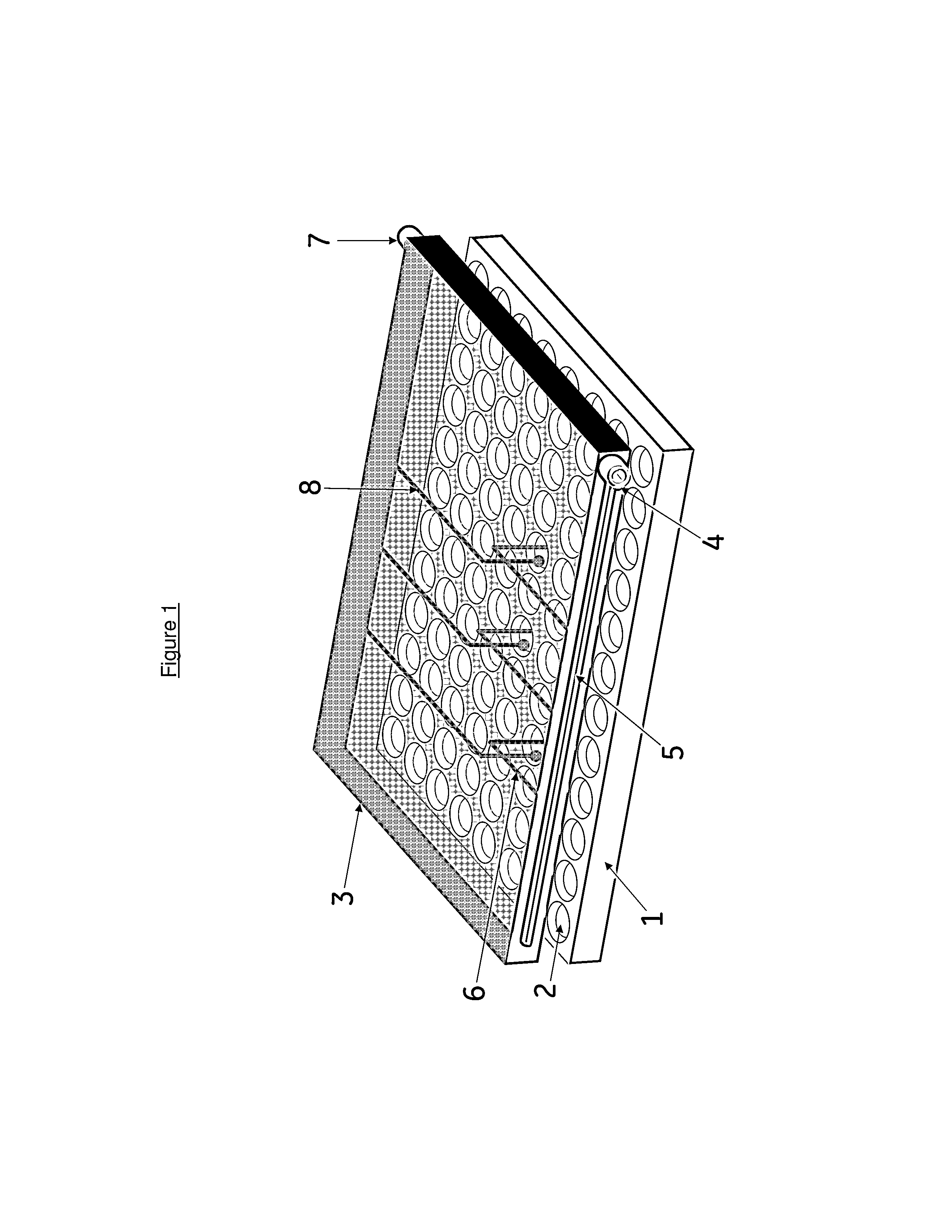 Apparatus and method for detecting DNA damage