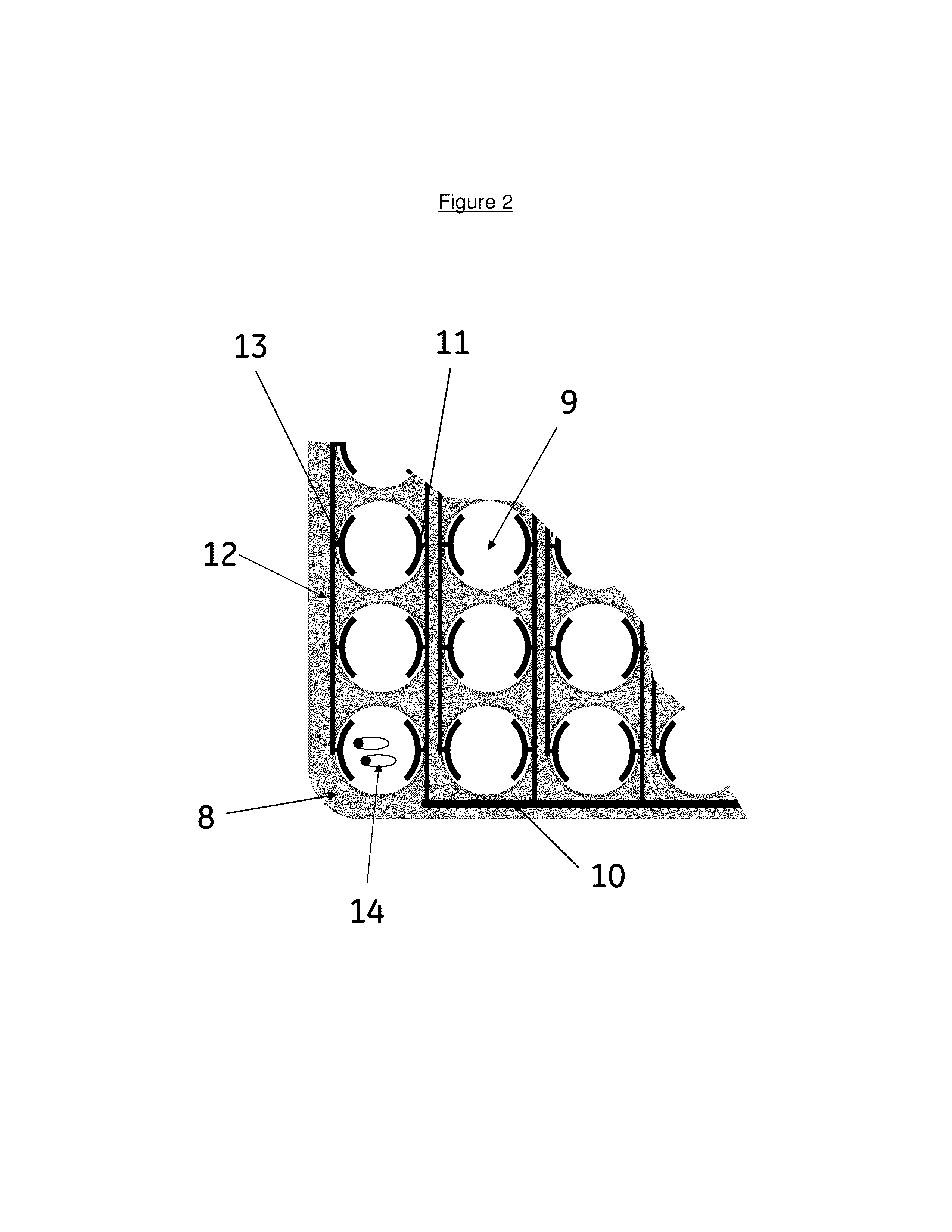 Apparatus and method for detecting DNA damage