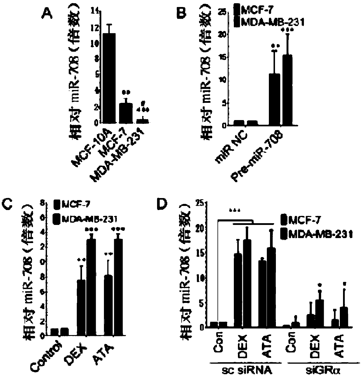 Application of glucocorticoid receptor accelerator antcin A in inhibiting tumorigenesis and metastasis of breast cancer