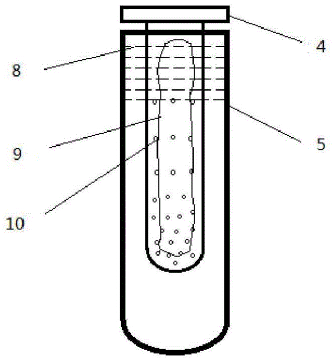 Double tube saliva sampler