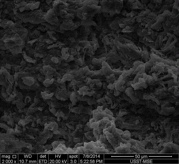 Preparation method of polymer nanocomposite with shape memory
