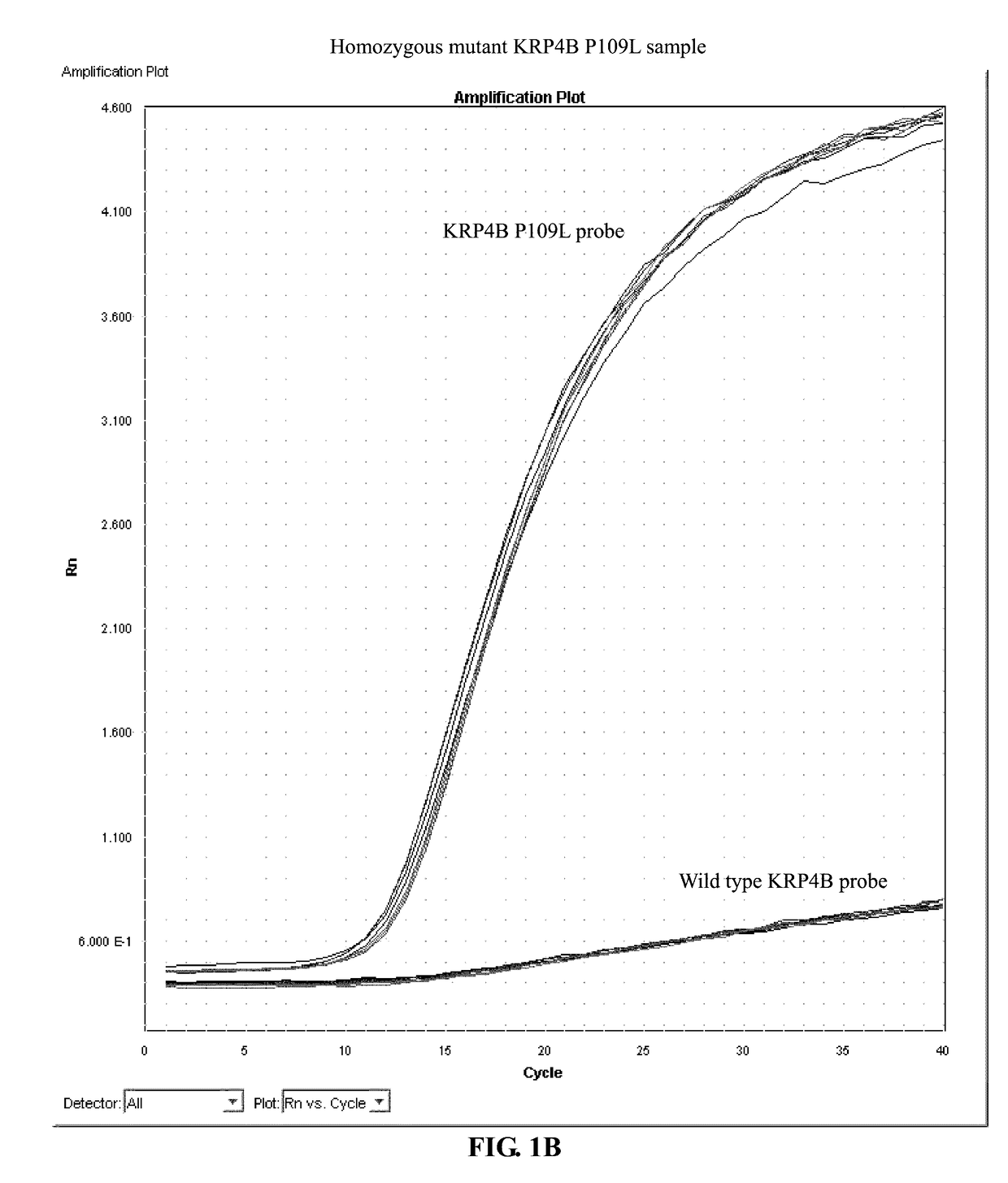 Identification and the use of krp mutants in plants