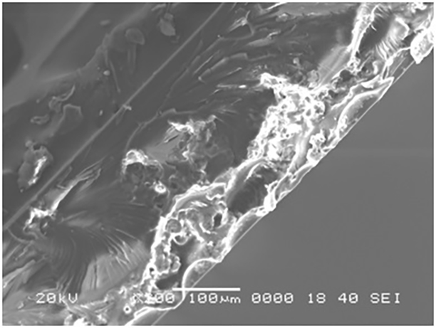 Self-layering super-hydrophobic composite coating