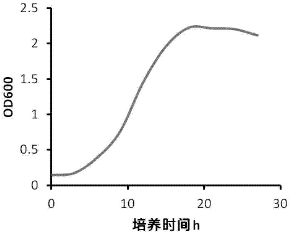 A kind of production method of instant fermented celery soft can with long shelf life