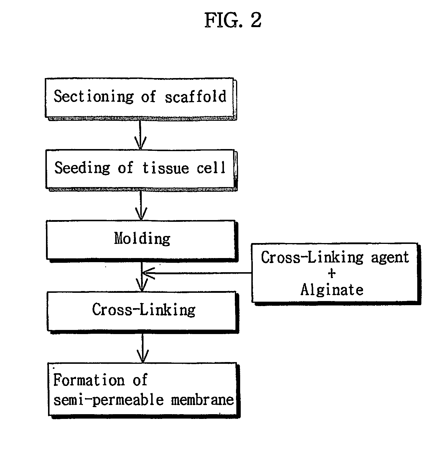 Biodegradable dual porous scaffold wrapped with semi-permeable membrane and tissue cell culture using thereof