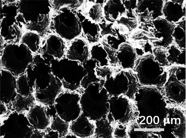 A kind of preparation method of porous foam carbon material
