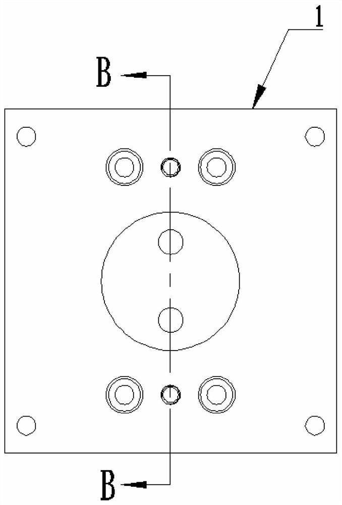 Online detection device for gaseous mercury atoms