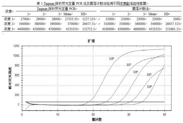 Detection method for quantitatively detecting vibrio parahaemolyticus in aquaculture environment by probe method