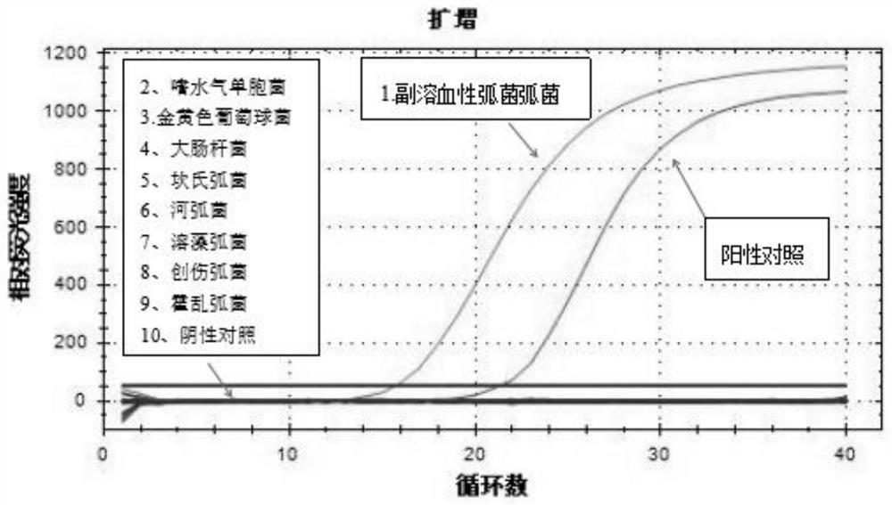 Detection method for quantitatively detecting vibrio parahaemolyticus in aquaculture environment by probe method