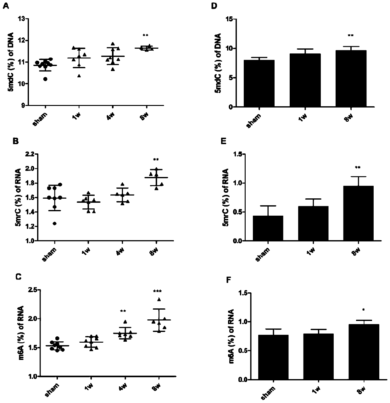 Heart failure detection device based on nucleic acid methylation change and application