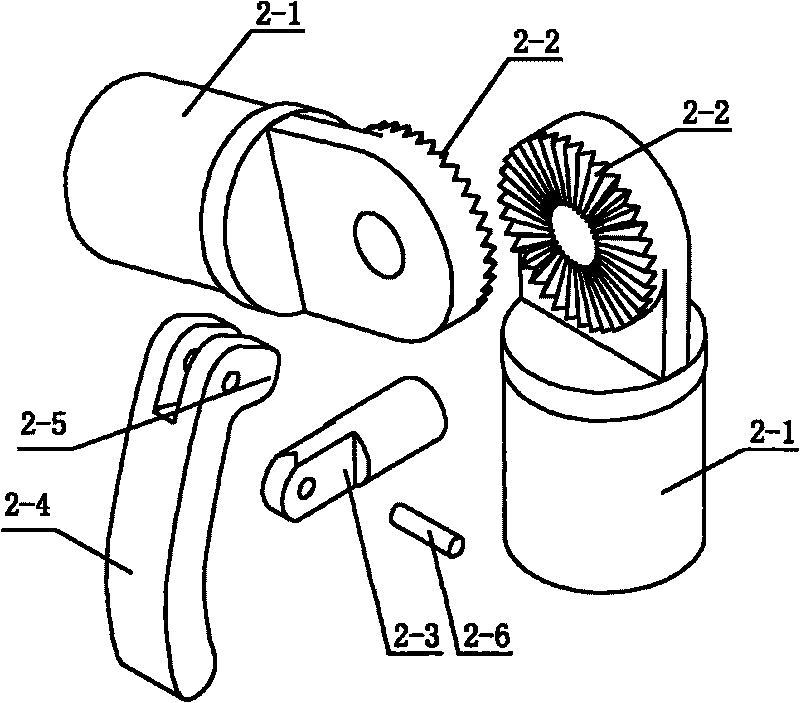 Bionic multifunctional notebook computer stand