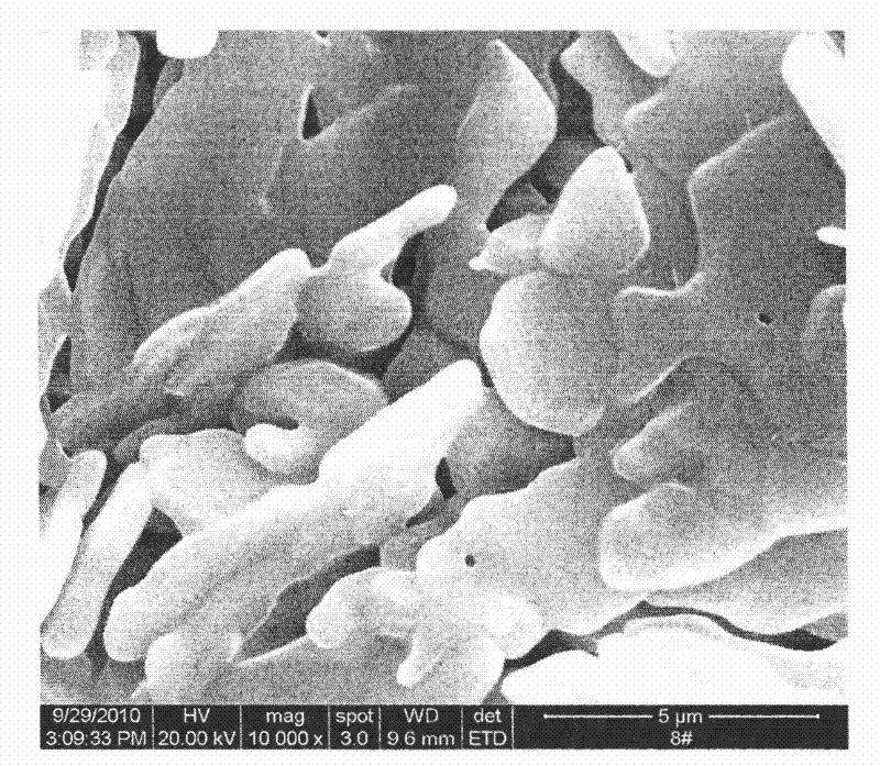 Preparation method of silver catalyst carrier, carrier prepared by preparation method, silver catalyst prepared by carrier and application thereof