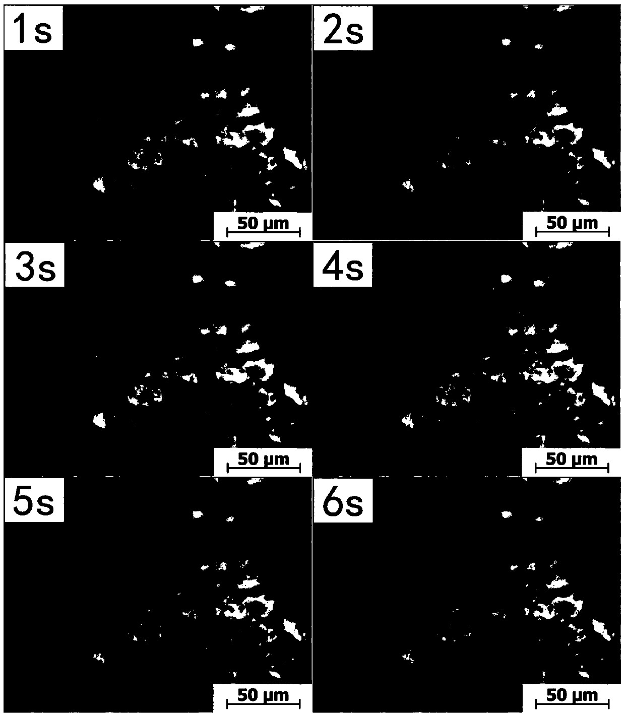 A Method for In Situ Recording and Observation of Microstructure Corrosion Behavior of Magnesium Alloys