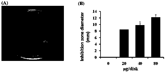 Application of perylene tetracarboxylic dianhydride amidation compound in anti-staphylococcus aureus