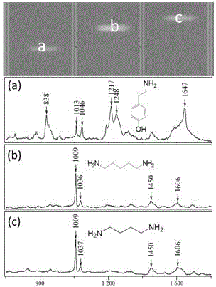 Method for rapidly detecting multiple biogenic amines in dairy product by virtue of combination of high performance thin layer chromatography and adjustable surface enhanced raman spectroscopy