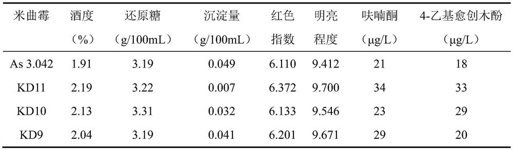 A kind of Aspergillus oryzae and its application in soy sauce brewing
