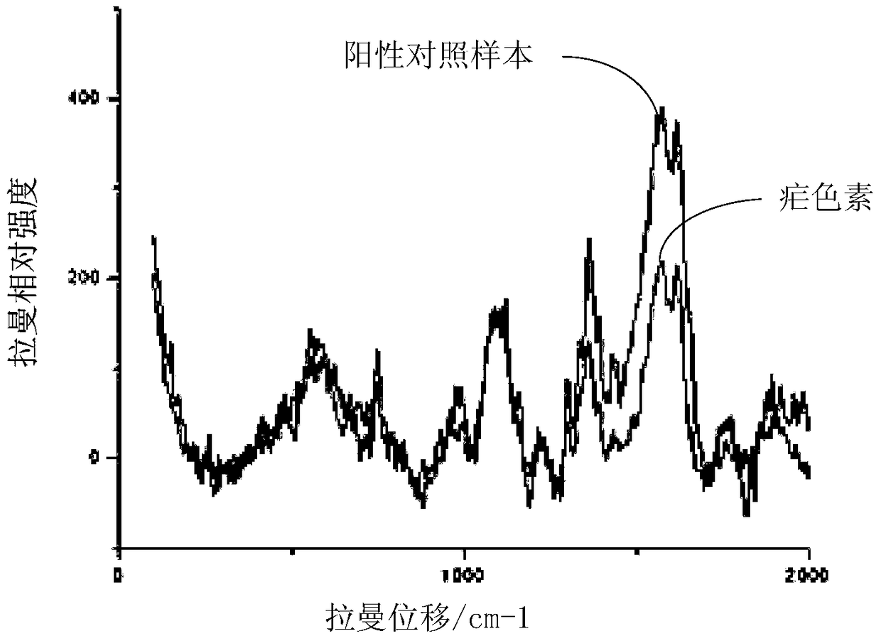 Plasmodium detection method and detection system