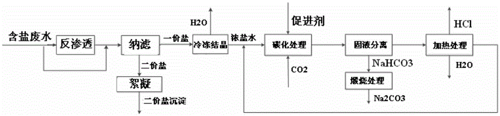 Method for producing sodium carbonate with salt-containing wastewater and CO2