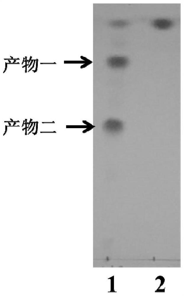 Application of a Curvularia lunata in C14α-Hydroxylation