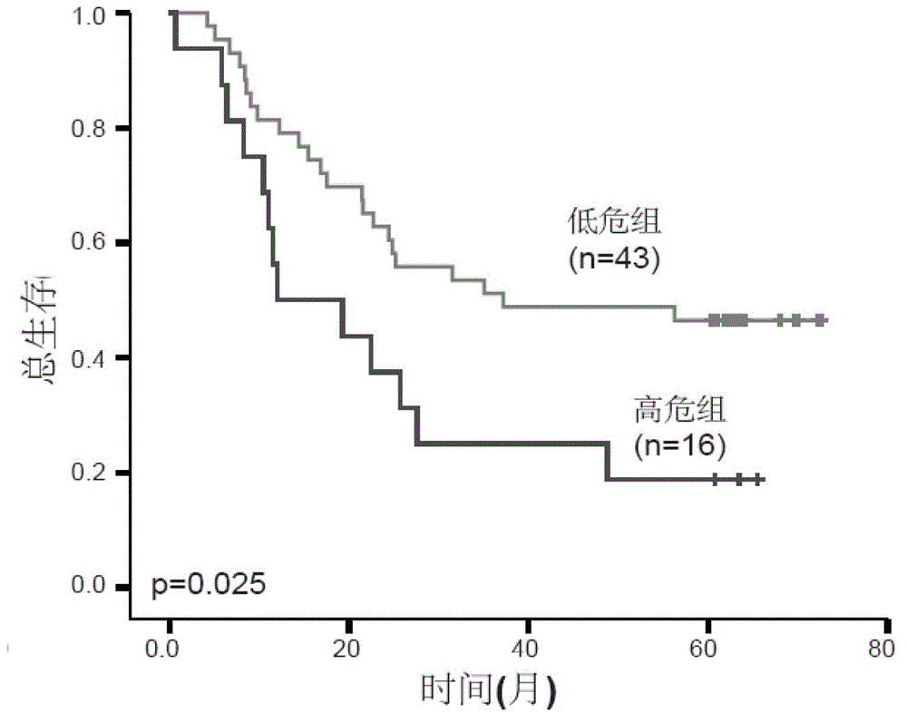 Product for performing assisted prediction on postoperative survival time length of esophageal squamous carcinoma patient