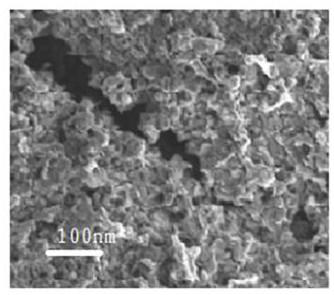 A kind of method that the photocatalytic material containing indium phosphide doped modified tio2 catalytically degrades antibiotic waste water