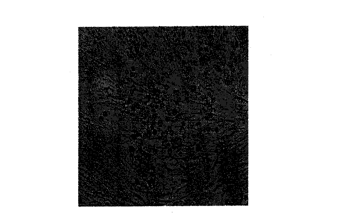 EV-71 virus seed, inactivated vaccine for human and method of producing the same