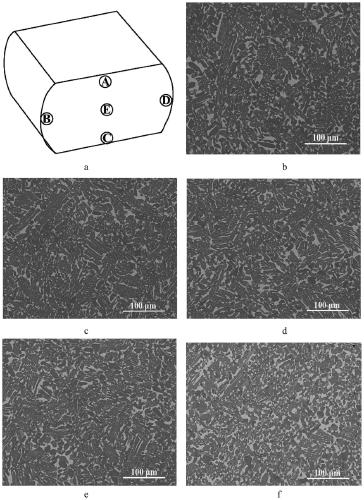 Preparation method for TNM alloy forging blank with uniform structure
