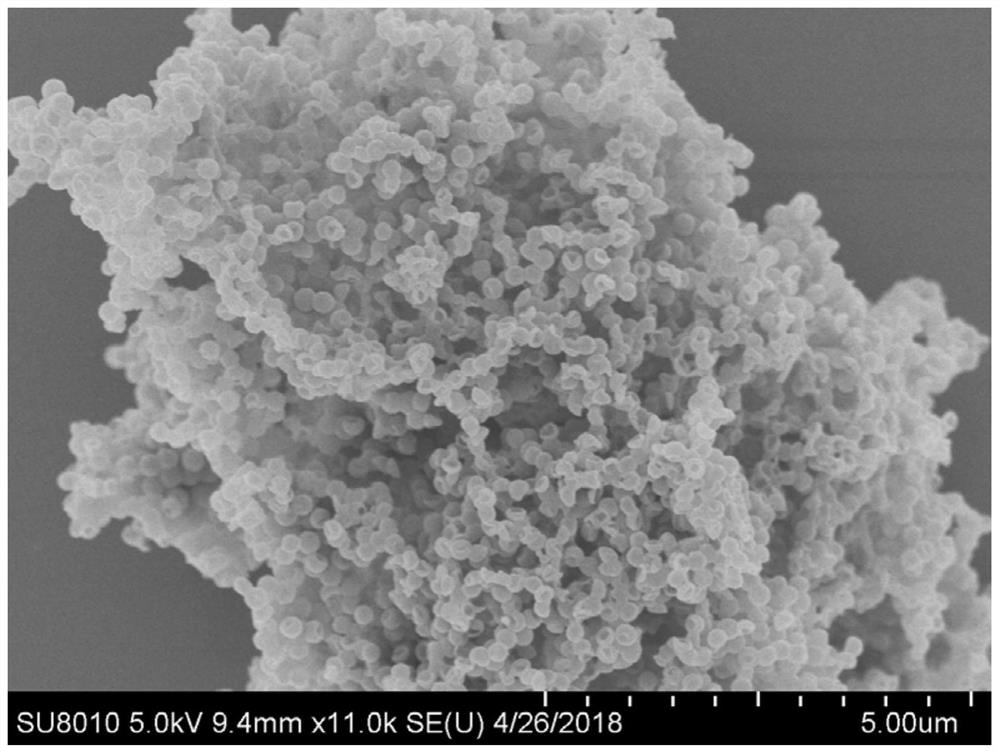 A solid polymer electrolyte and its application in lithium metal batteries