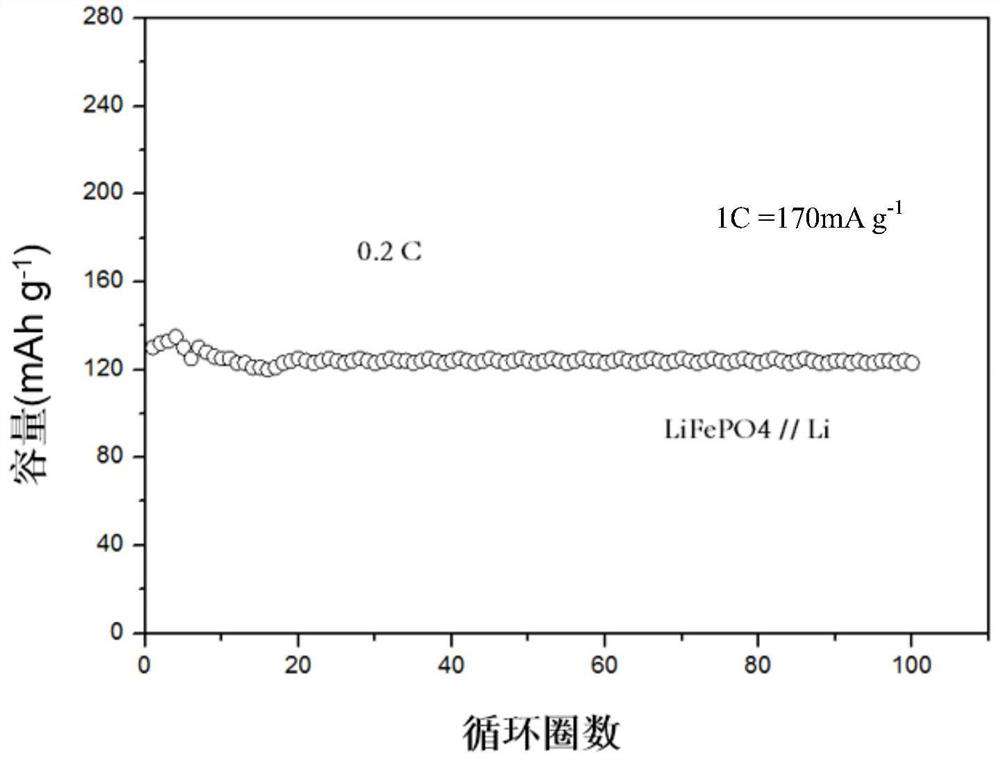 A solid polymer electrolyte and its application in lithium metal batteries