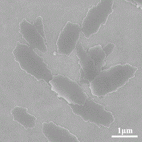 Method for preparing phenylamino porphyrin self-assembled nanomaterial by adopting co-solvent method