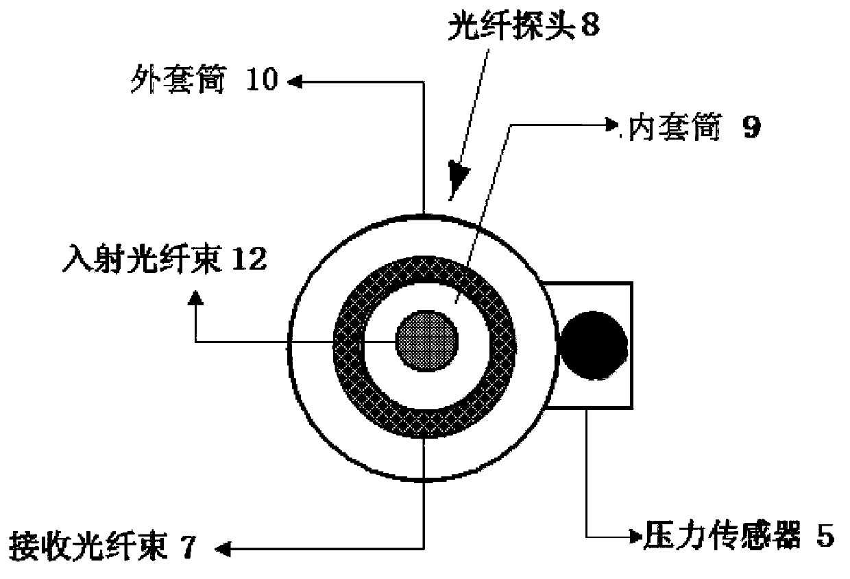 Device and method for detecting biological tissue of pressure modulation near infrared spectrum