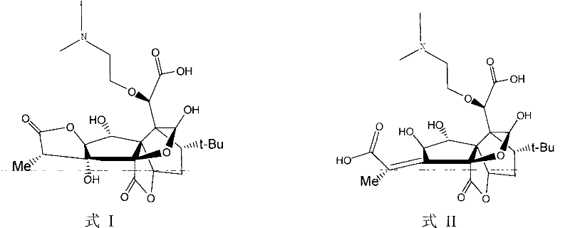 Bilobalide B hydrolyzed derivatives and application thereof
