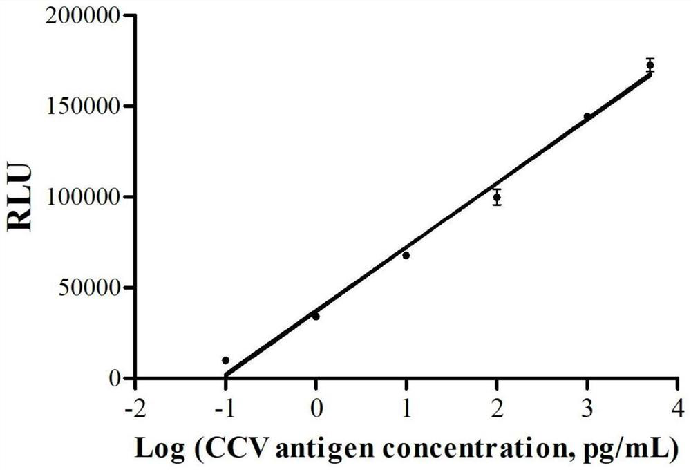 Preparation and use method of canine coronavirus chemiluminescence detection reagent