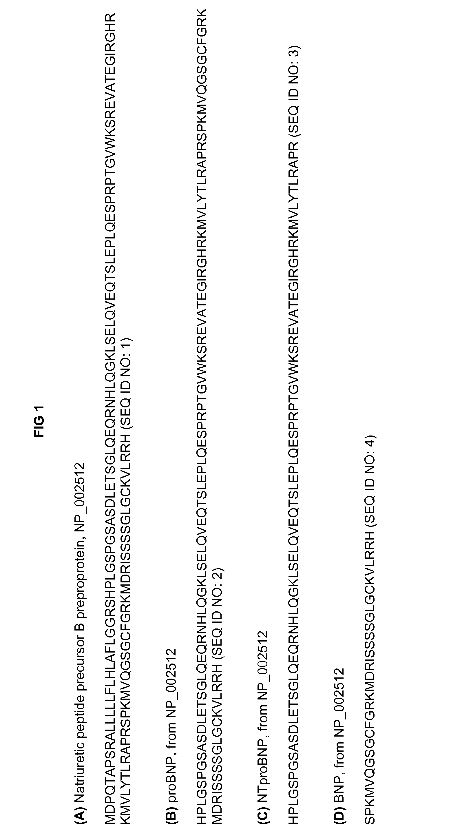 Novel polypeptides related to b-type natriuretic peptides and methods of their identification and use