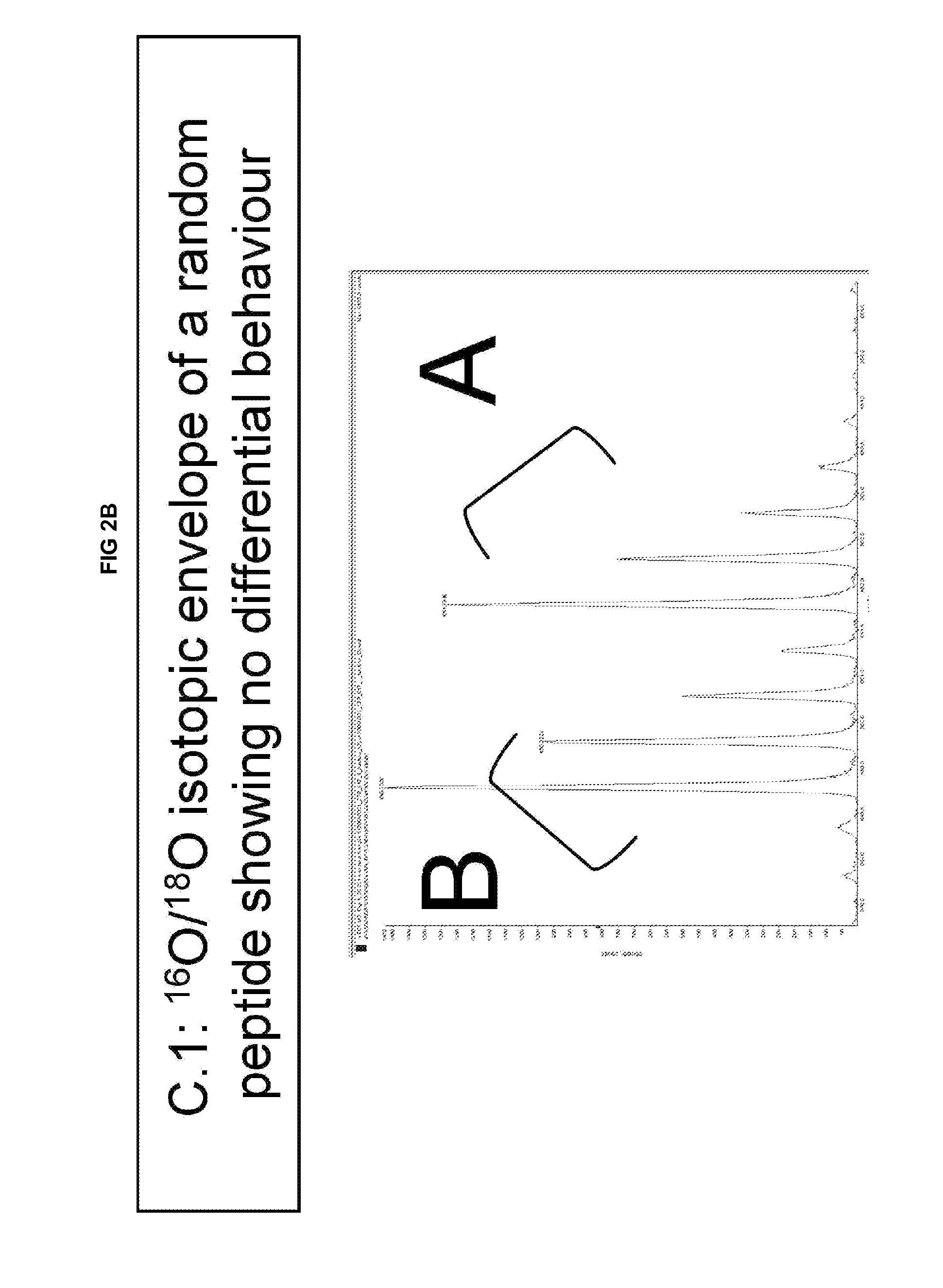Novel polypeptides related to b-type natriuretic peptides and methods of their identification and use