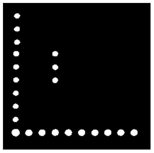 A detection method for sea cucumber pathogenic bacteria Shewanella flavina