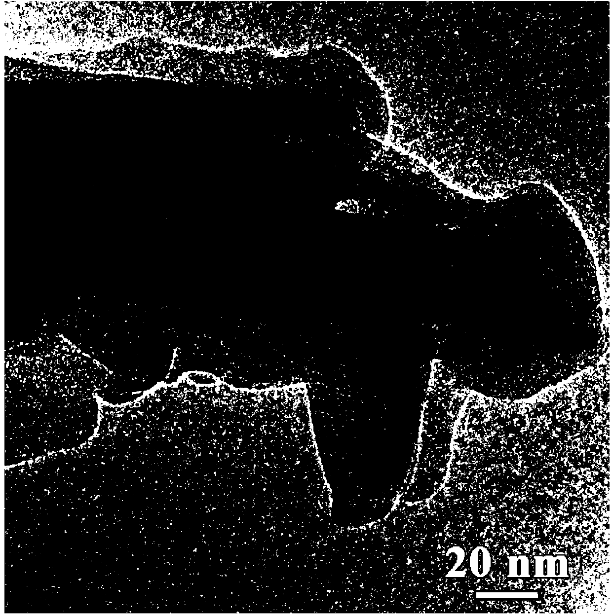 Tungsten trioxide/polyaniline core-shell nanowire array radiochromic film and preparation method thereof
