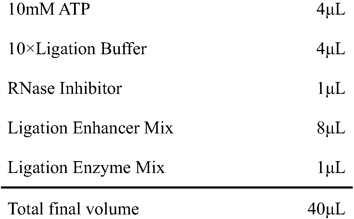 Method for constructing degradome sequencing library