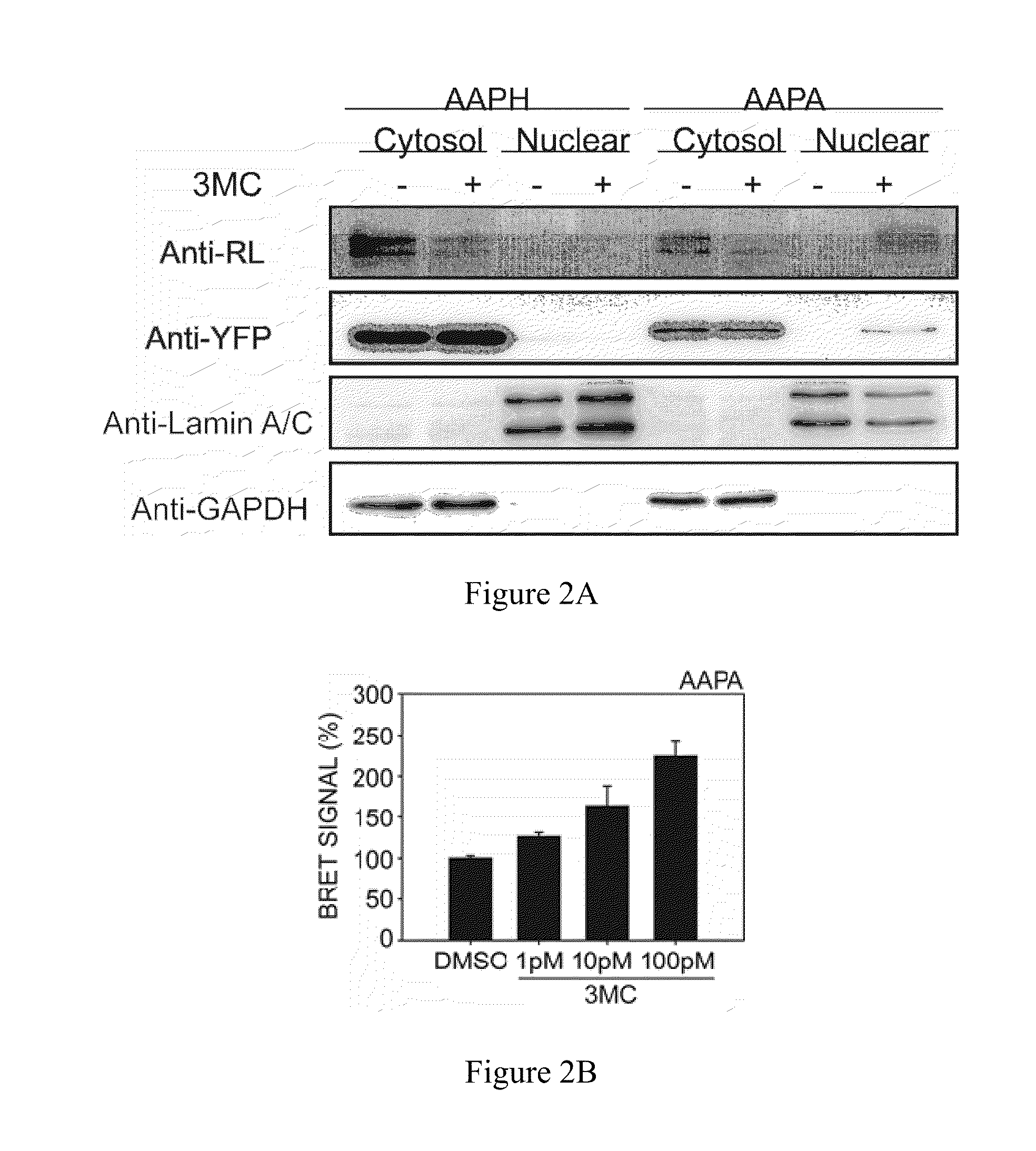 Method and system of detecting dioxin-like compounds