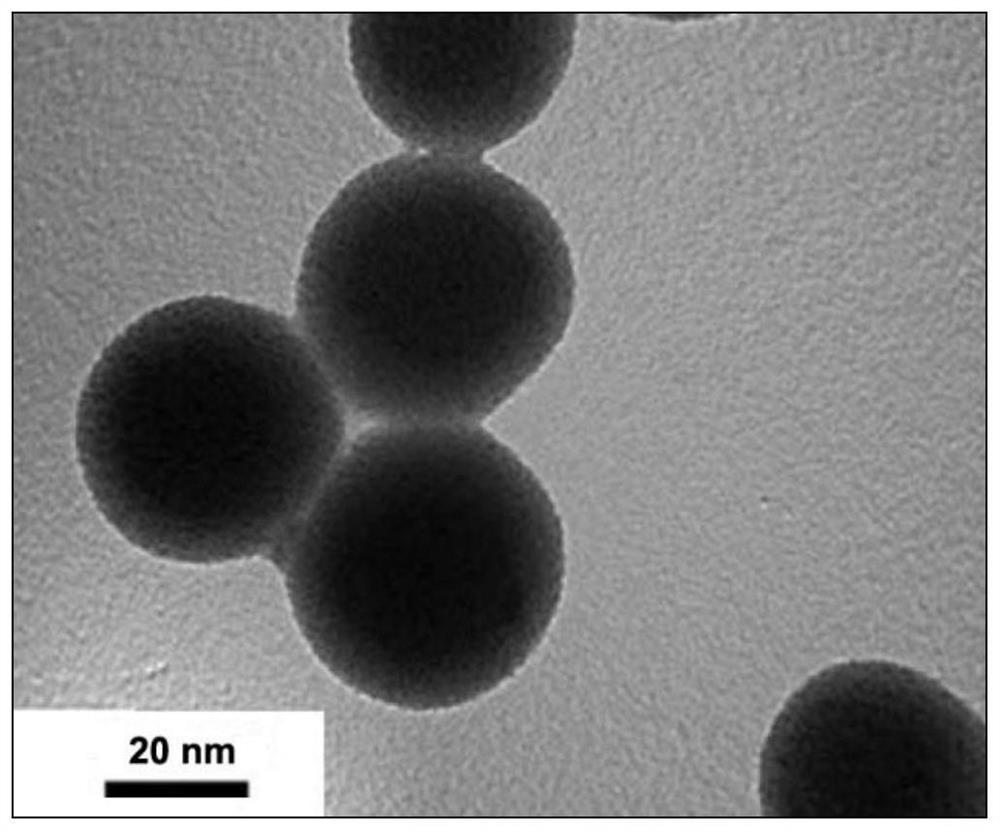 Method for coating magnetic bead fishing traditional Chinese medicine active ingredients with cell membranes based on electroporation and application of method