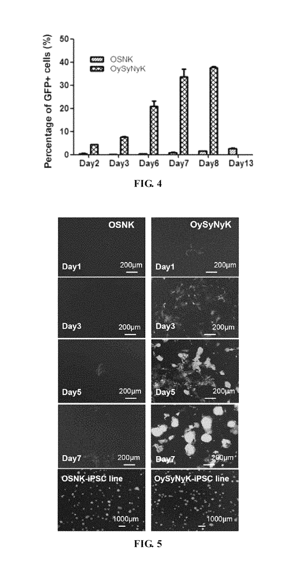 Fusion protein for inducing pluripotent stem cells and application method thereof
